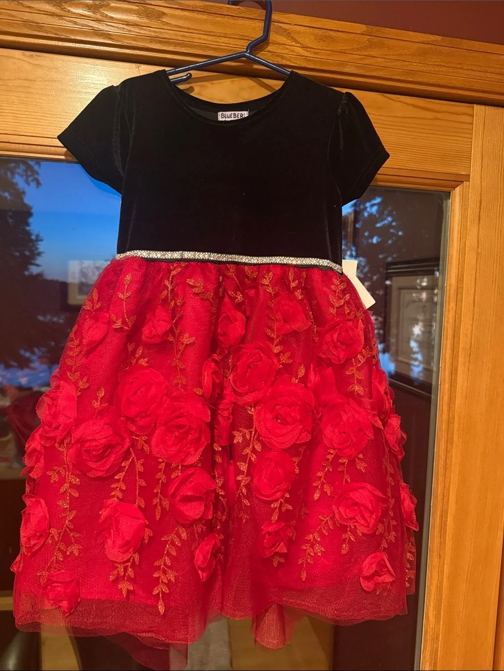 Girls Black Velvet Top Red Rose Skirt Holiday Dress 6X NWT